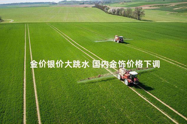 金价银价大跳水 国内金饰价格下调